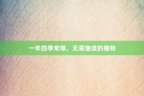 一年四季常绿，无需继续的植物