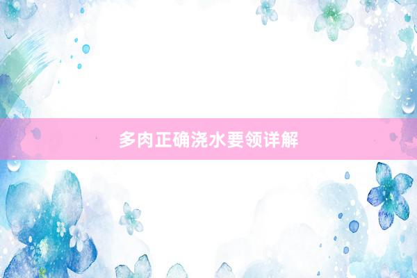 多肉正确浇水要领详解