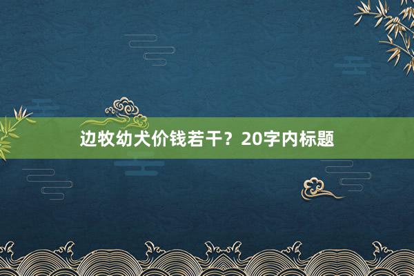 边牧幼犬价钱若干？20字内标题